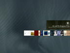 project page